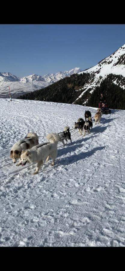 Bel Appartement Ski Aux Pieds Plagne Bellecote La Plagne Luaran gambar